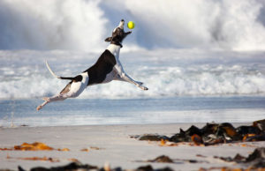 How to get email marketing RITE