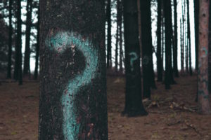 Question marks painted on trees in a forest