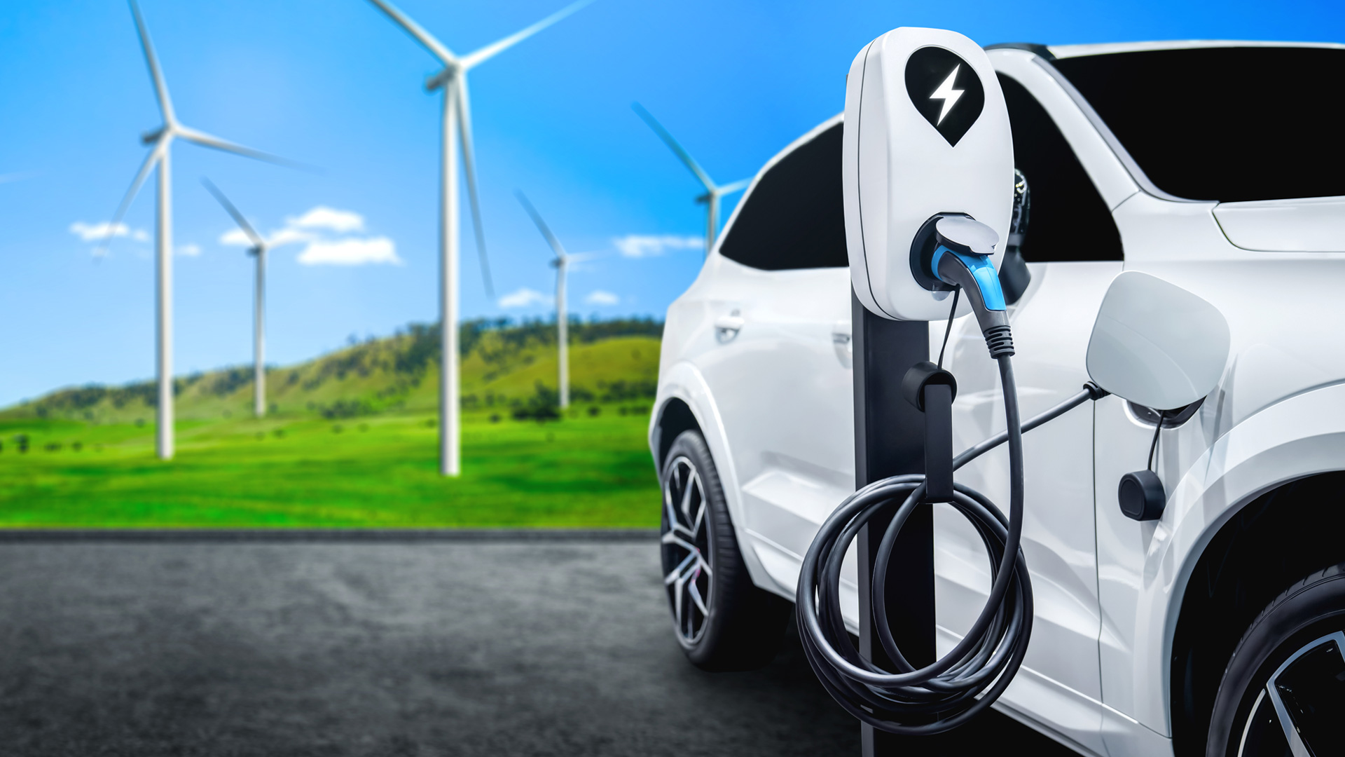 Large-Img-Sustainability