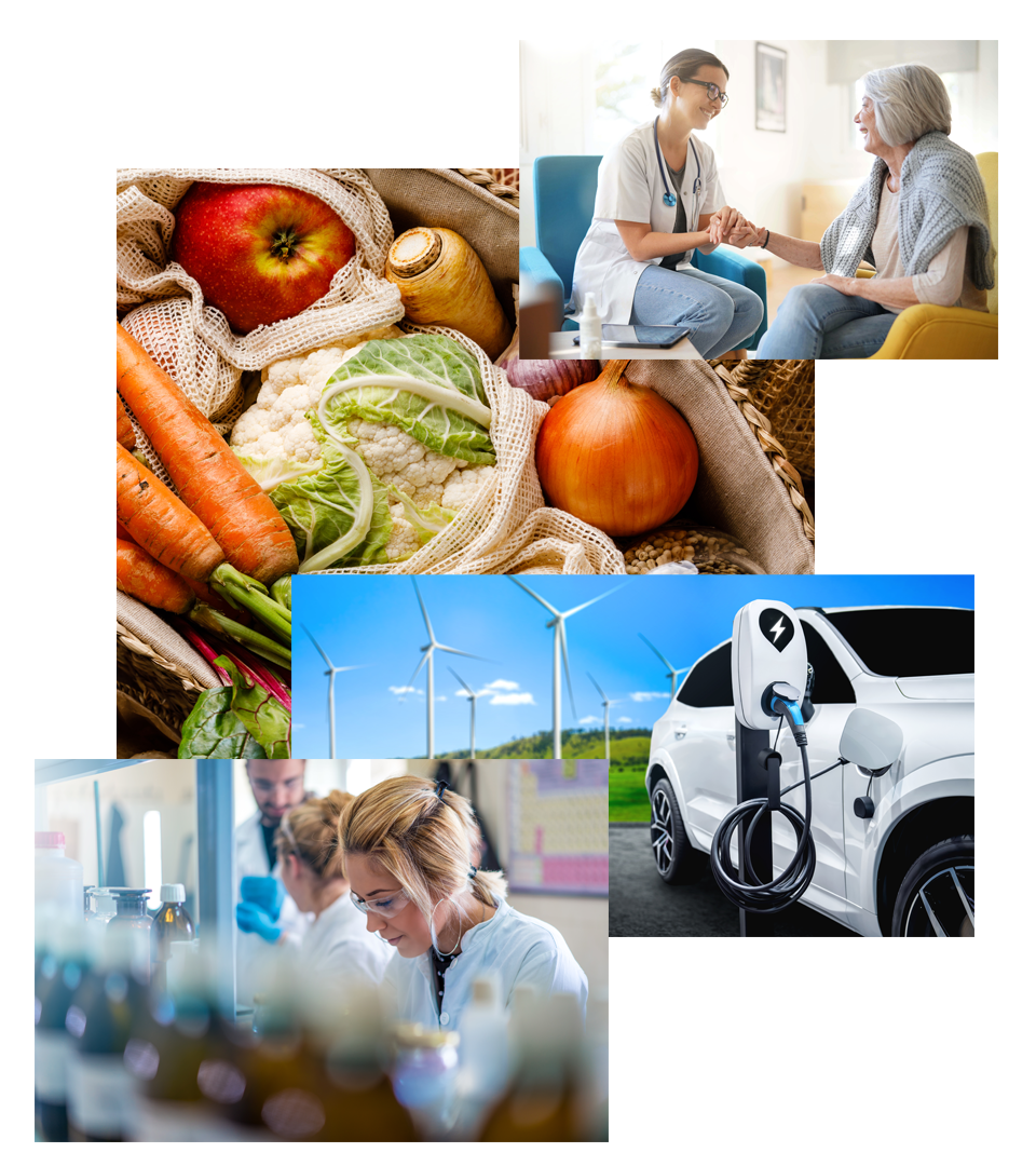 home-success-stories-montage