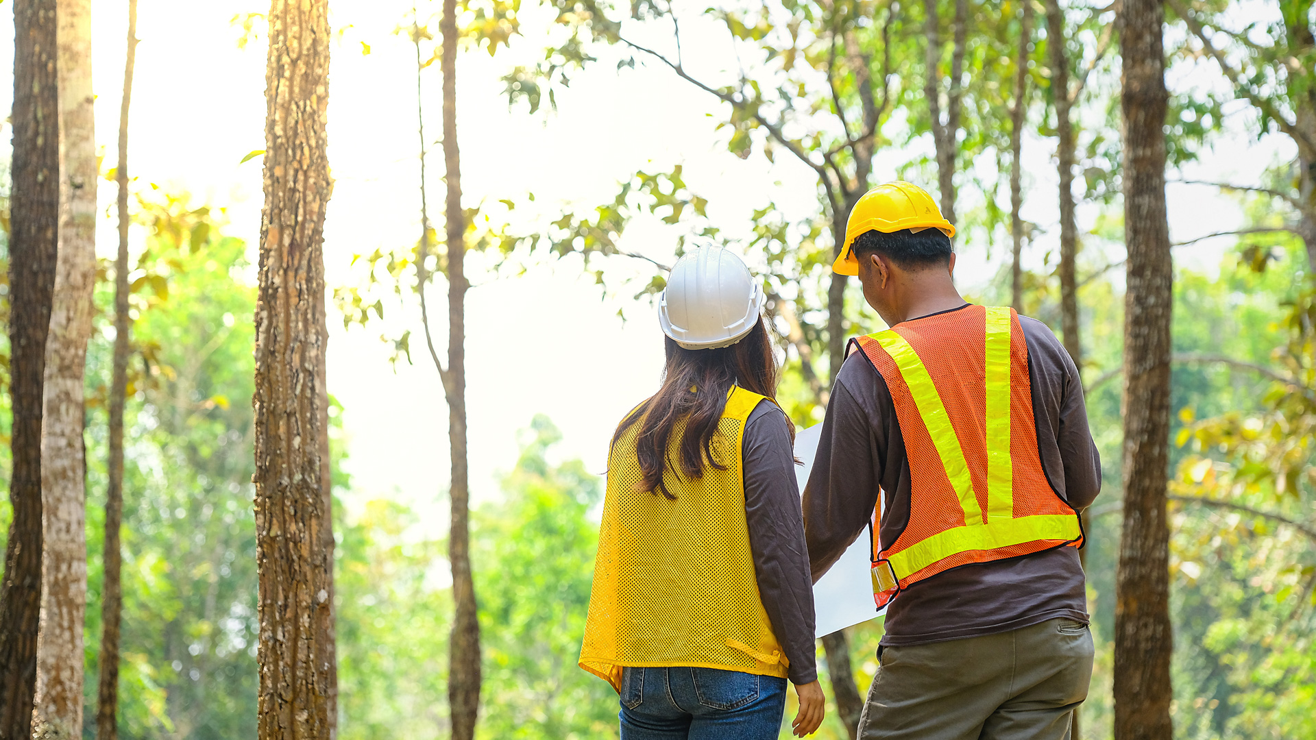 Large-Img-1920-x-1080-environment